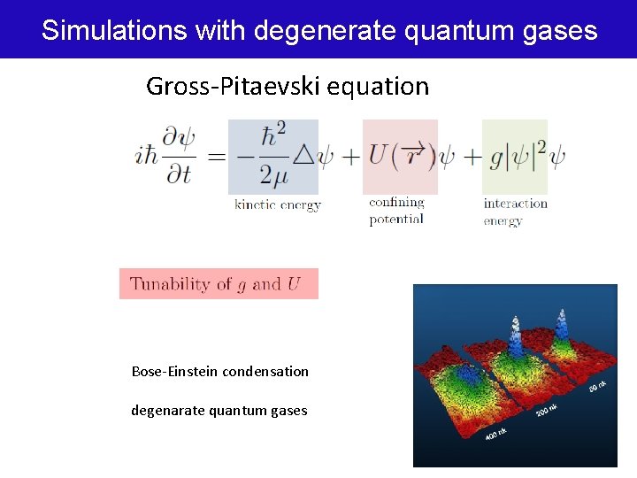 Simulations with degenerate quantum gases Gross-Pitaevski equation Bose-Einstein condensation degenarate quantum gases 