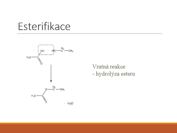 Esterifikace Vratná reakce - hydrolýza esteru 