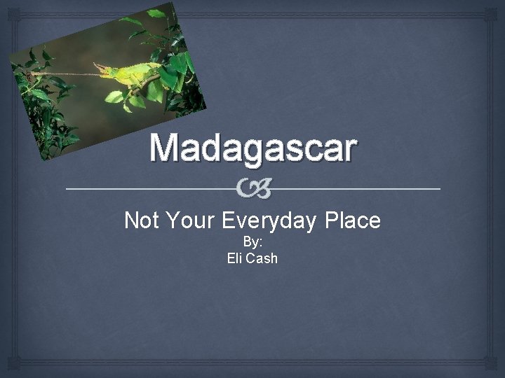 Madagascar Not Your Everyday Place By: Eli Cash 