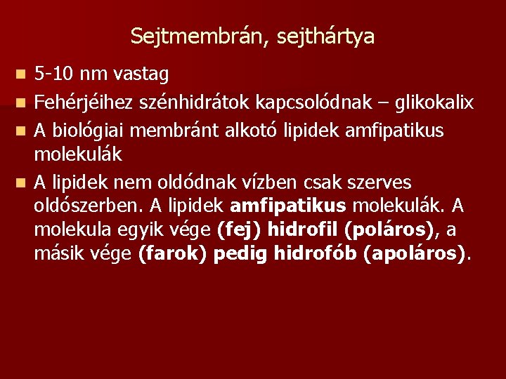 Sejtmembrán, sejthártya 5 -10 nm vastag n Fehérjéihez szénhidrátok kapcsolódnak – glikokalix n A