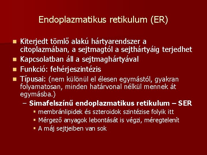 Endoplazmatikus retikulum (ER) n n Kiterjedt tömlő alakú hártyarendszer a citoplazmában, a sejtmagtól a