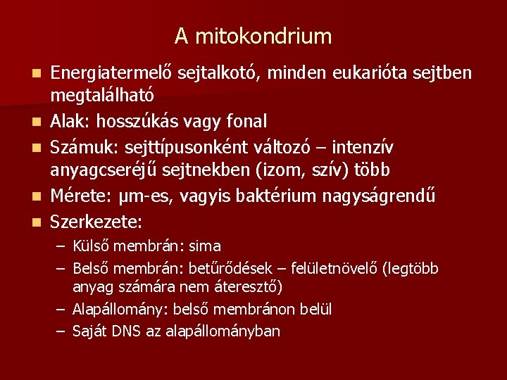 A mitokondrium n n n Energiatermelő sejtalkotó, minden eukarióta sejtben megtalálható Alak: hosszúkás vagy