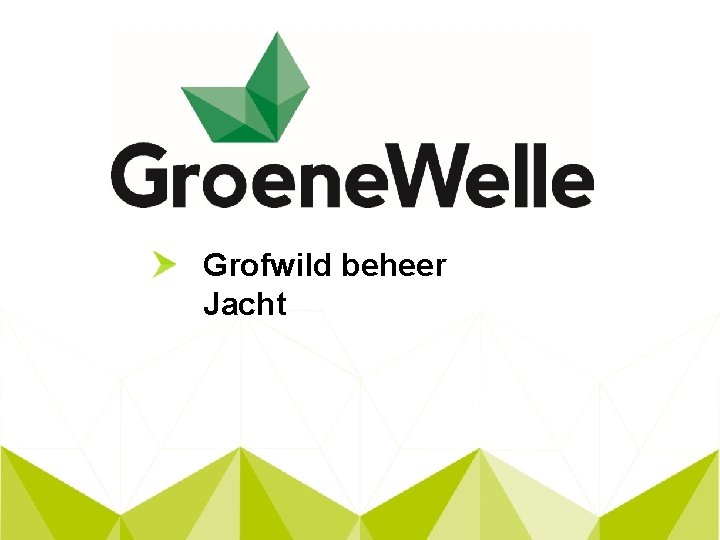 Grofwild beheer Jacht 