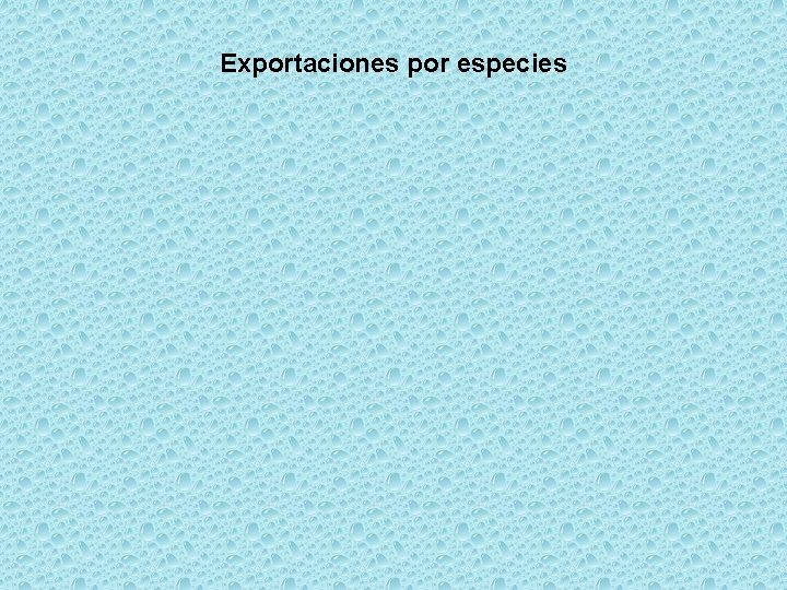 Exportaciones por especies 