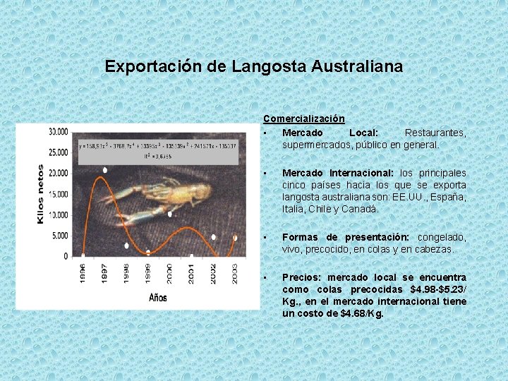 Exportación de Langosta Australiana Comercialización • Mercado Local: Restaurantes, supermercados, público en general. •