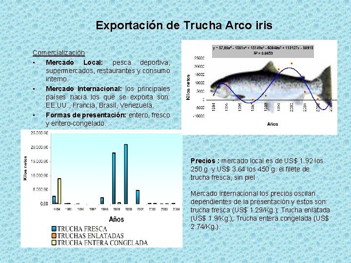 Exportación de Trucha Arco iris Comercialización • Mercado Local: pesca deportiva, supermercados, restaurantes y