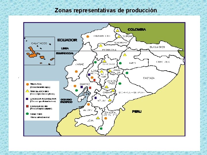 Zonas representativas de producción 