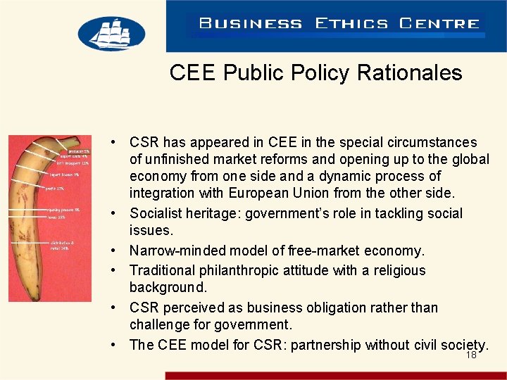 CEE Public Policy Rationales • CSR has appeared in CEE in the special circumstances