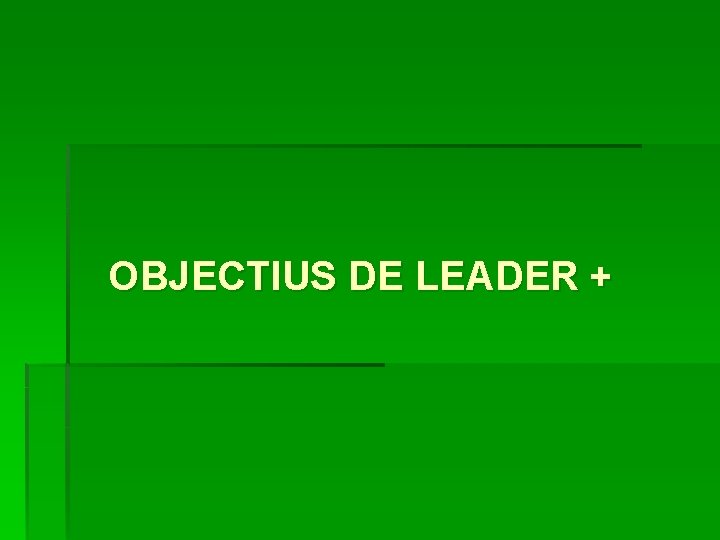 OBJECTIUS DE LEADER + 