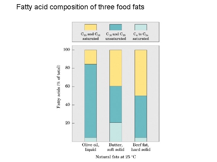 Fatty acid composition of three food fats 