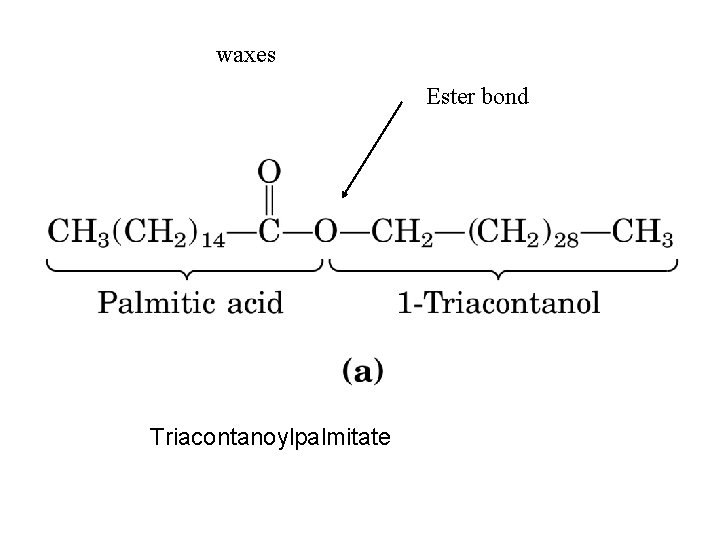waxes Ester bond Triacontanoylpalmitate 