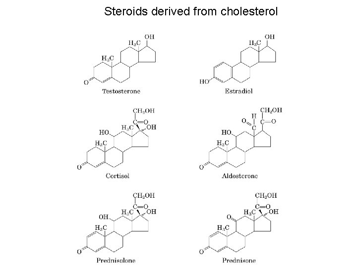 Steroids derived from cholesterol 
