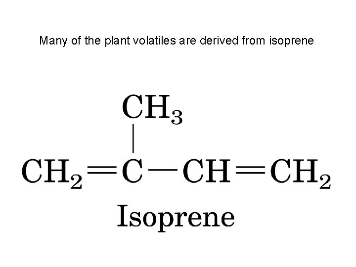 Many of the plant volatiles are derived from isoprene 
