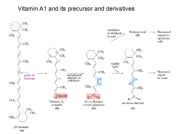 Vitamin A 1 and its precursor and derivatives 