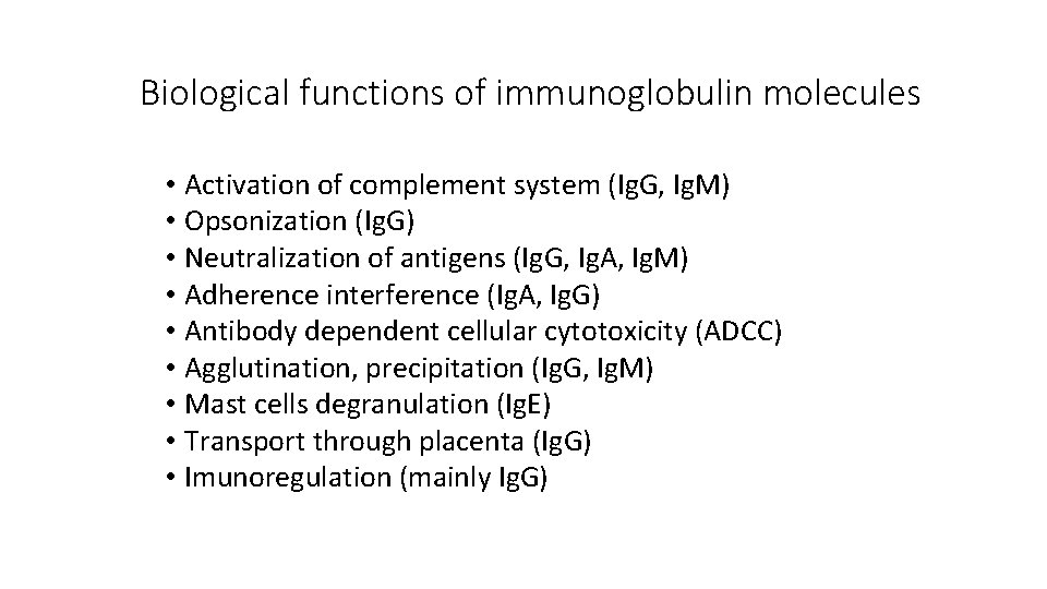 Biological functions of immunoglobulin molecules • Activation of complement system (Ig. G, Ig. M)