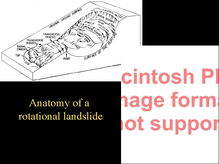 Anatomy of a rotational landslide 