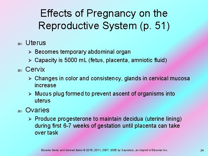 Effects of Pregnancy on the Reproductive System (p. 51) Uterus Becomes temporary abdominal organ