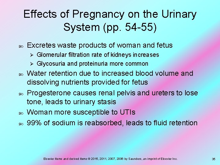 Effects of Pregnancy on the Urinary System (pp. 54 -55) Excretes waste products of