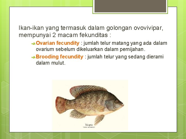 Ikan-ikan yang termasuk dalam golongan ovovivipar, mempunyai 2 macam fekunditas : Ovarian fecundity :