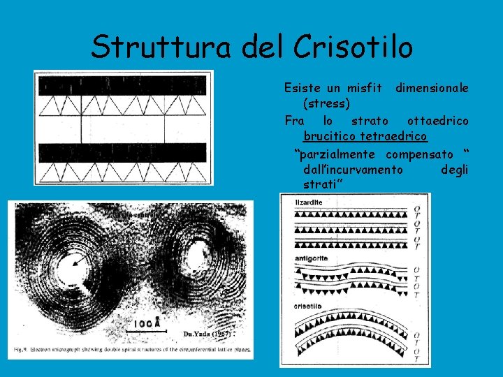 Struttura del Crisotilo Esiste un misfit dimensionale (stress) Fra lo strato ottaedrico brucitico tetraedrico