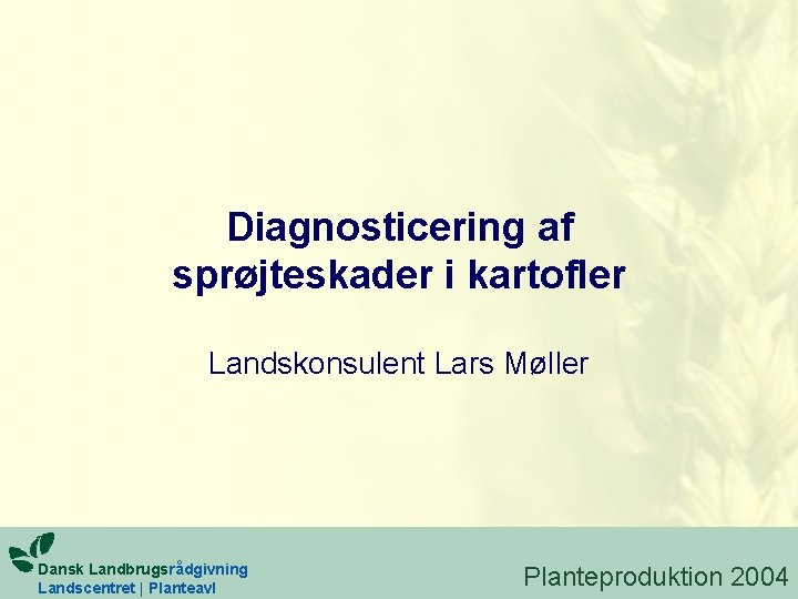 Diagnosticering af sprøjteskader i kartofler Landskonsulent Lars Møller Dansk Landbrugsrådgivning Landscentret | Planteavl Planteproduktion