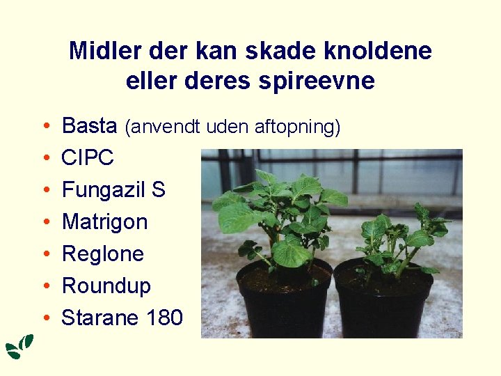 Midler der kan skade knoldene eller deres spireevne • • Basta (anvendt uden aftopning)