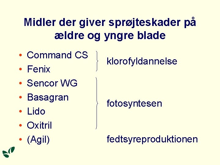 Midler der giver sprøjteskader på ældre og yngre blade • • Command CS Fenix