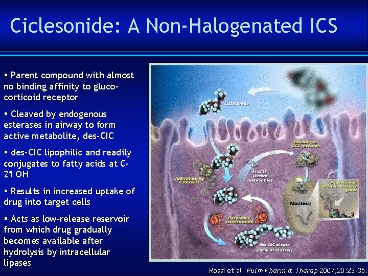 Ciclesonide: A Non-Halogenated ICS § Parent compound with almost no binding affinity to glucocorticoid