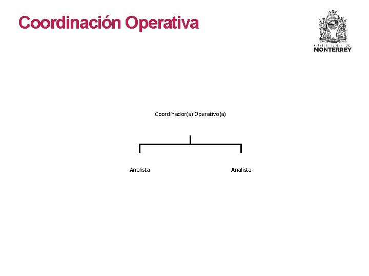 Coordinación Operativa Coordinador(a) Operativo(a) Analista 