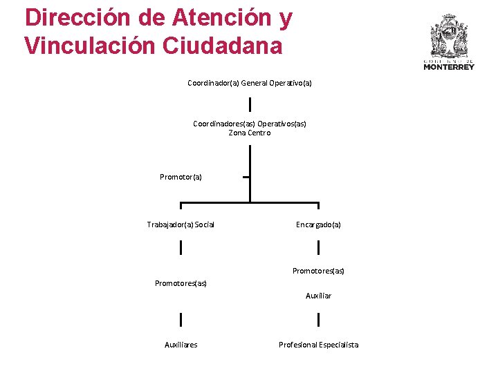 Dirección de Atención y Vinculación Ciudadana Coordinador(a) General Operativo(a) Coordinadores(as) Operativos(as) Zona Centro Promotor(a)