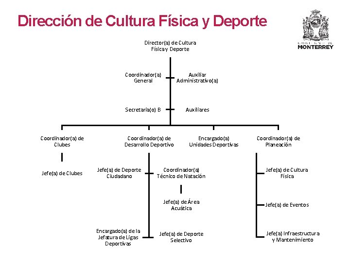 Dirección de Cultura Física y Deporte Director(a) de Cultura Física y Deporte Coordinador(a) de