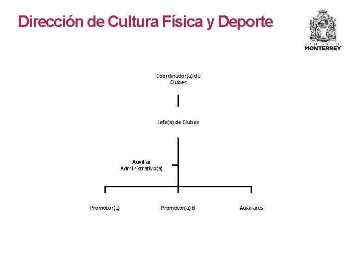 Dirección de Cultura Física y Deporte Coordinador(a) de Clubes Jefe(a) de Clubes Auxiliar Administrativo(a)