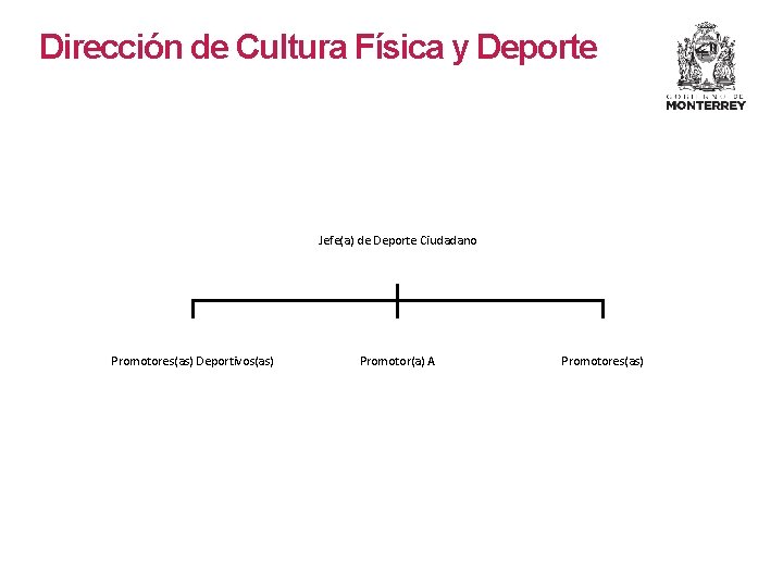 Dirección de Cultura Física y Deporte Jefe(a) de Deporte Ciudadano Promotores(as) Deportivos(as) Promotor(a) A