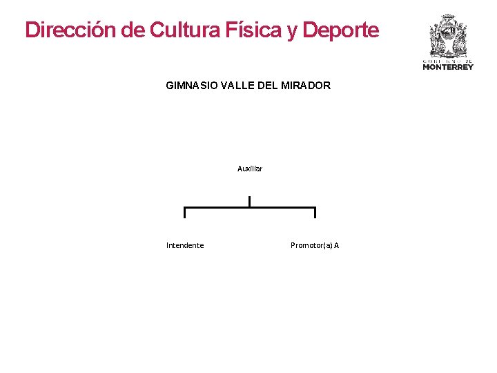 Dirección de Cultura Física y Deporte GIMNASIO VALLE DEL MIRADOR Auxiliar Intendente Promotor(a) A