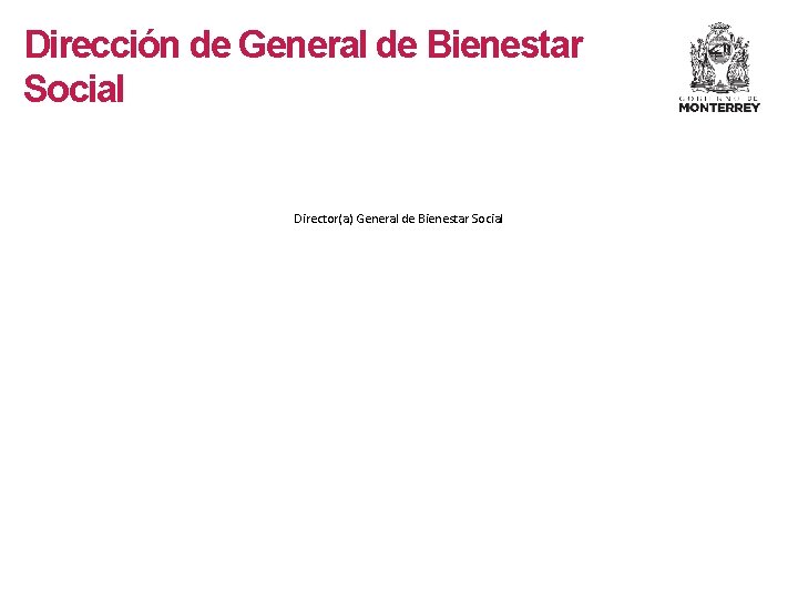 Dirección de General de Bienestar Social Director(a) General de Bienestar Social 