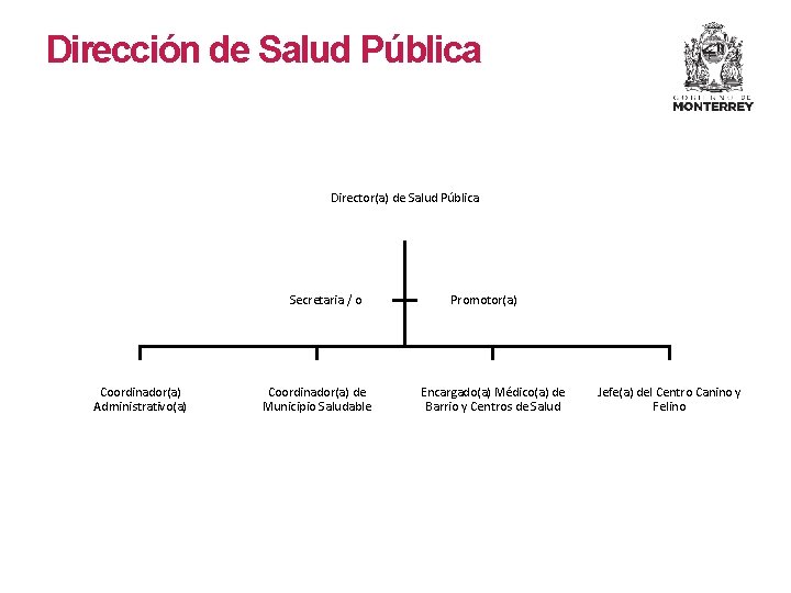 Dirección de Salud Pública Director(a) de Salud Pública Secretaria / o Coordinador(a) Administrativo(a) Coordinador(a)