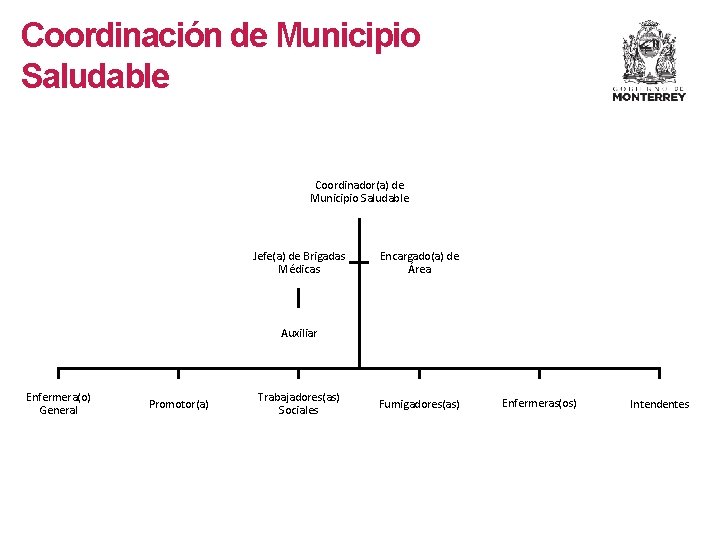 Coordinación de Municipio Saludable Coordinador(a) de Municipio Saludable Jefe(a) de Brigadas Médicas Encargado(a) de