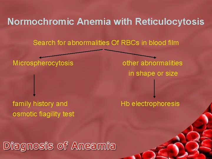 Normochromic Anemia with Reticulocytosis Search for abnormalities Of RBCs in blood film Microspherocytosis other
