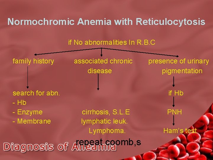 Normochromic Anemia with Reticulocytosis if No abnormalities In R. B. C family history search