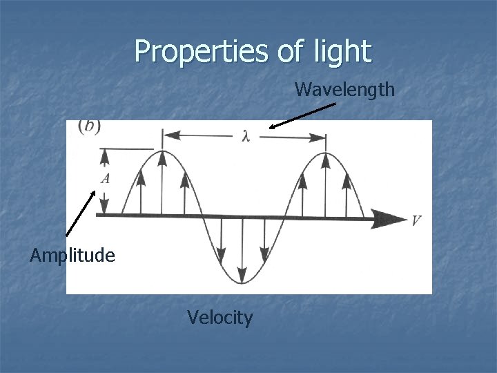 Properties of light Wavelength Amplitude Velocity 