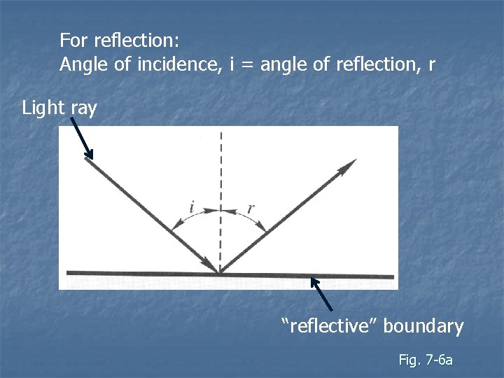 For reflection: Angle of incidence, i = angle of reflection, r Light ray “reflective”