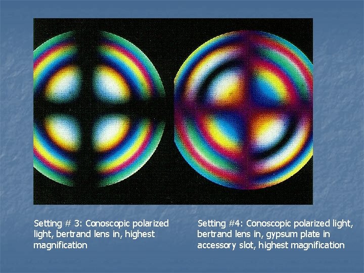 Setting # 3: Conoscopic polarized light, bertrand lens in, highest magnification Setting #4: Conoscopic