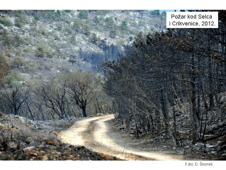 Požar kod Selca i Crikvenice, 2012. Foto: D. Škomrlj 