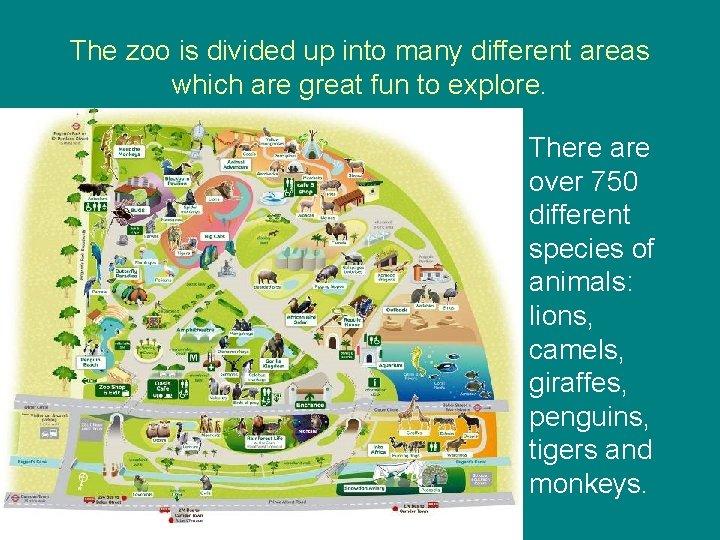 The zoo is divided up into many different areas which are great fun to The zoo is divided up into many different areas which are great fun to