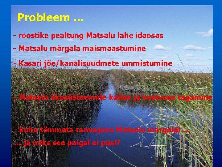 Probleem. . . - roostike pealtung Matsalu lahe idaosas - Matsalu märgala maismaastumine -