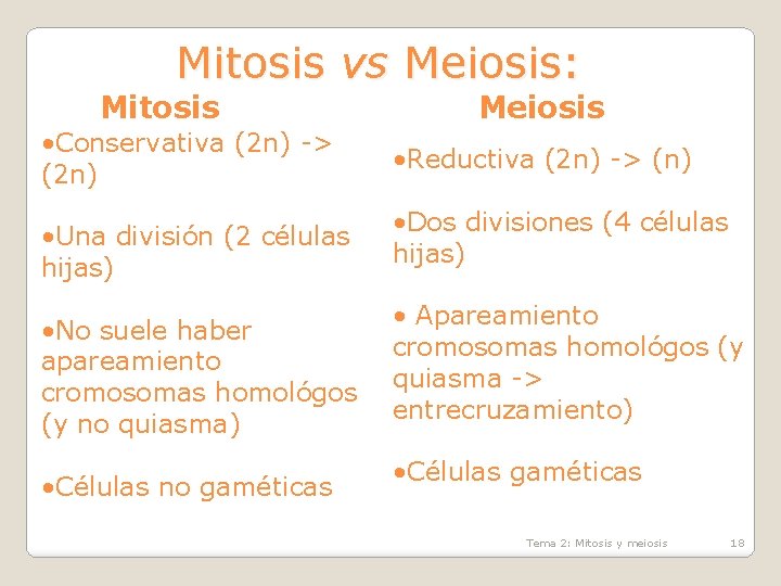 Mitosis vs Meiosis: Mitosis • Conservativa (2 n) -> (2 n) • Una división