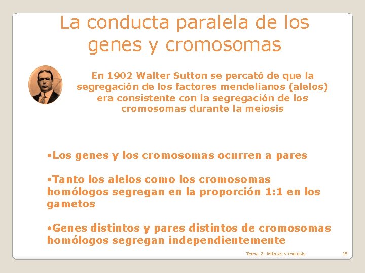 La conducta paralela de los genes y cromosomas En 1902 Walter Sutton se percató