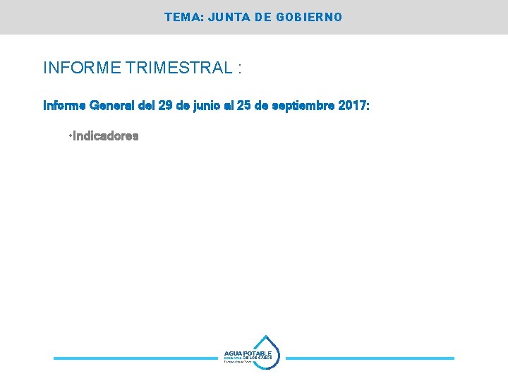 TEMA: JUNTA DE GOBIERNO INFORME TRIMESTRAL : Informe General del 29 de junio al