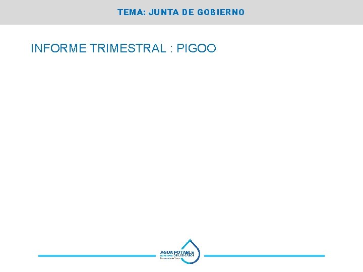 TEMA: JUNTA DE GOBIERNO INFORME TRIMESTRAL : PIGOO 