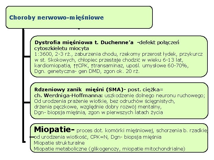 Choroby nerwowo-mięśniowe Dystrofia mięśniowa t. Duchenne’a -defekt połączeń cytoszkieletu miocyta 1: 3600, 2 -3